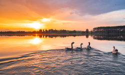 Featured image of post Birdwatching Experience with SWAROVSKI OPTIK at Le Ali del Frassino Residence (Lake Frassino)